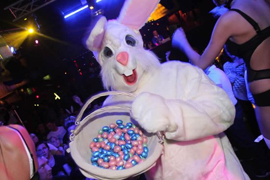 BUNNIES PARTY - Complexe Cap'tain